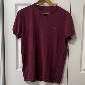 American Eagle Outfitters Men's Burgundy V-Neck Tee